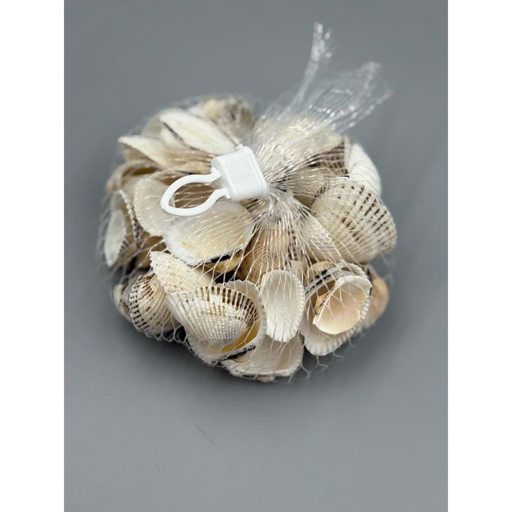 DENİZ 025 KABUK 7479