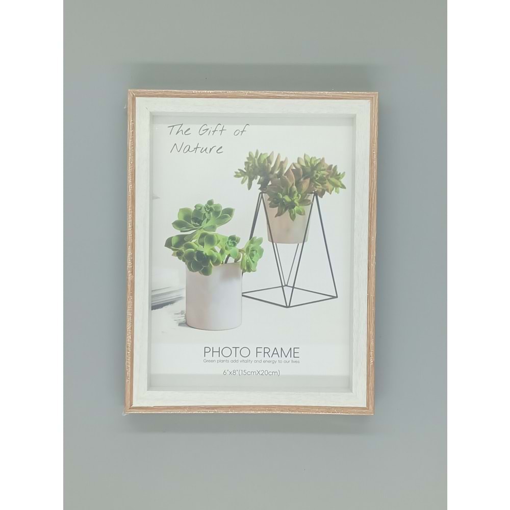 ÇERÇEVE 13052 DERİN 15 X 20