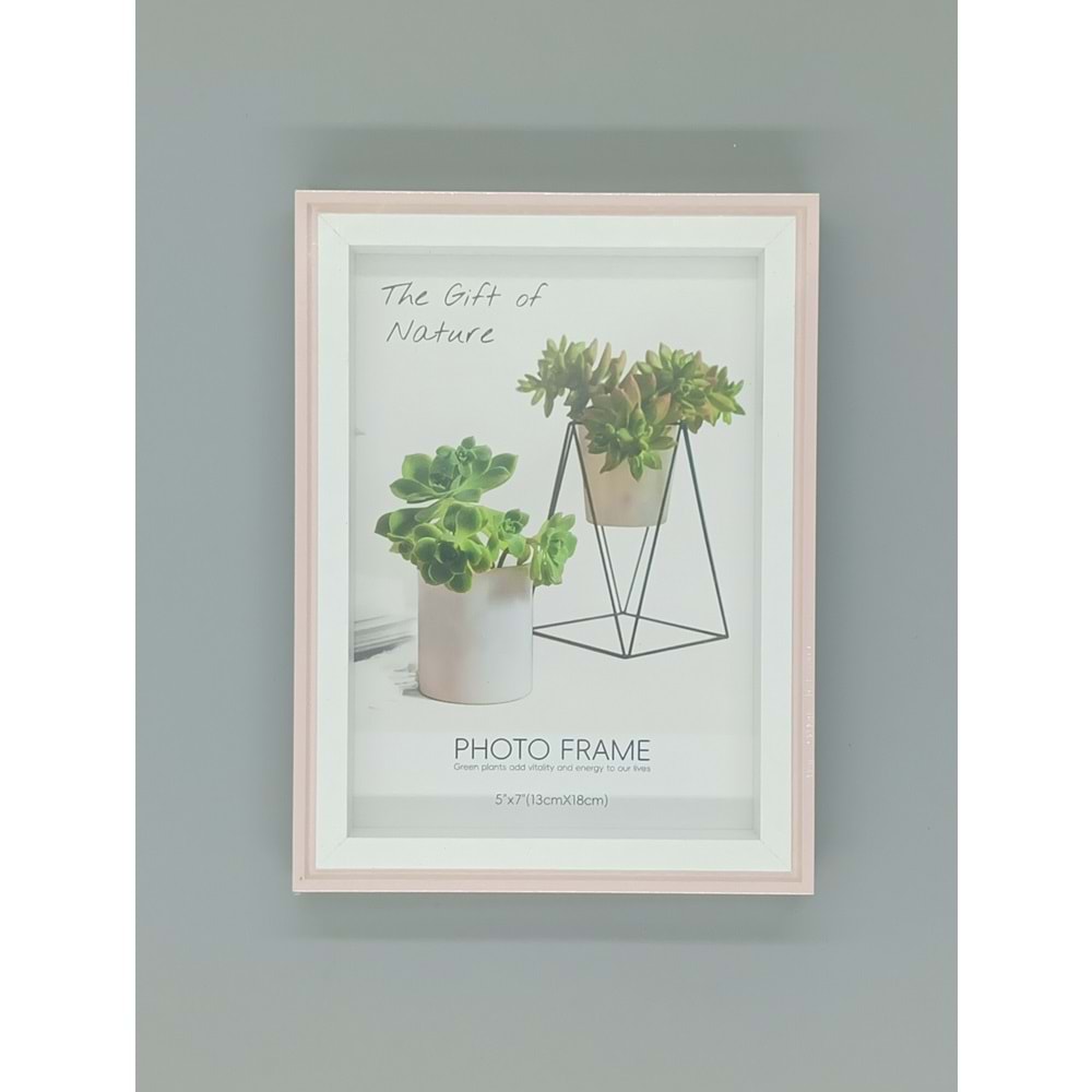 ÇERÇEVE 13051 DERİN 13 X 18