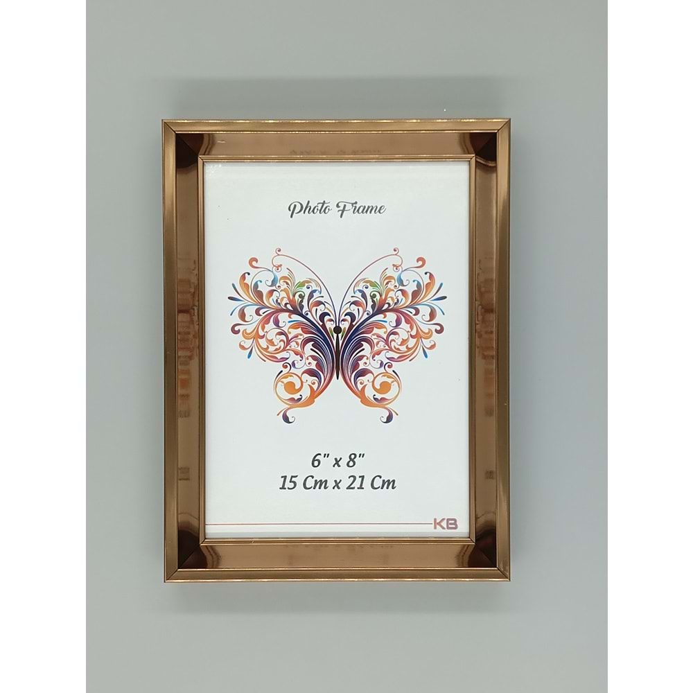 ÇERÇEVE 6 X 8 ÇUKUR