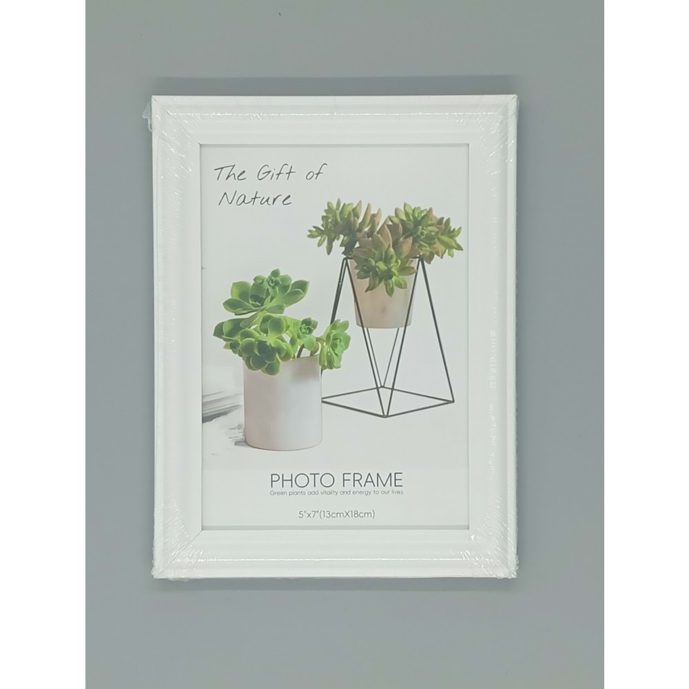 ÇERÇEVE 13021 AHŞAP 13 X 18