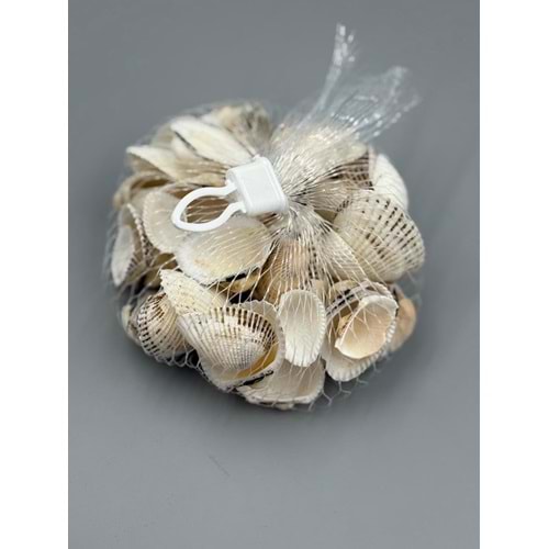 DENİZ 025 KABUK 7479