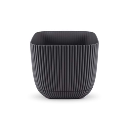 MERCAN 384 KARE 4 NO SAKSI