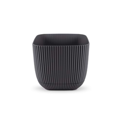 MERCAN 383 KARE 3 NO SAKSI