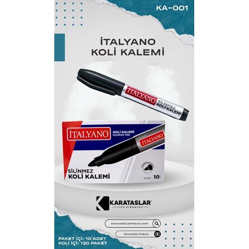 KOLİ KALEM 993 2009 TGB